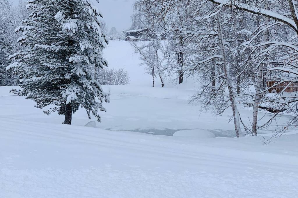 Zuhaus Schernfeichten Kitzbühel Esterno foto