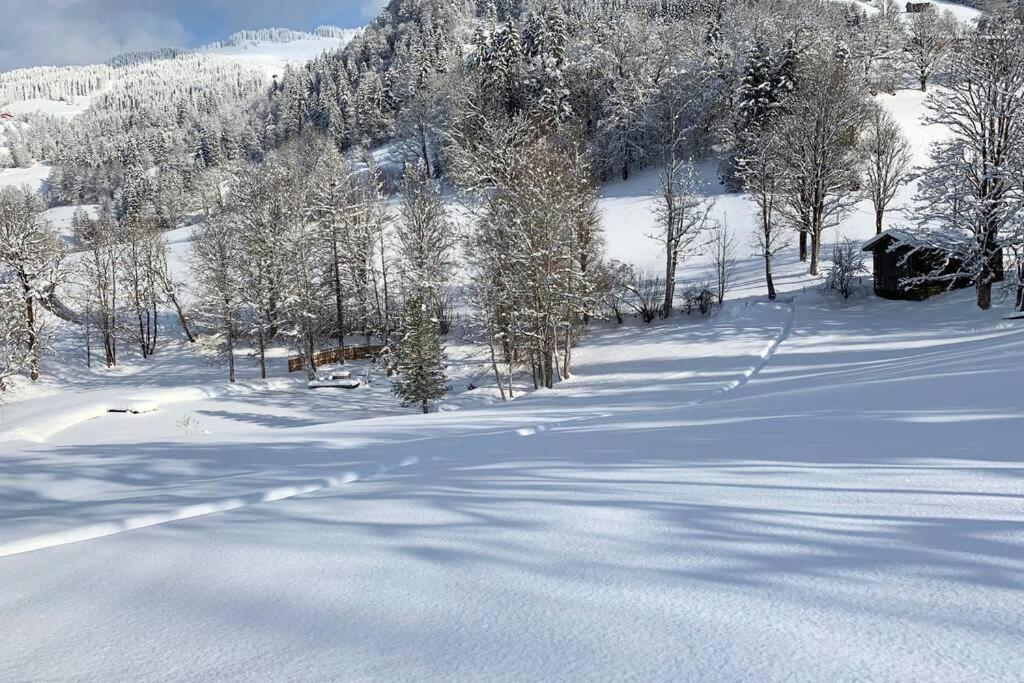 Zuhaus Schernfeichten Kitzbühel Esterno foto