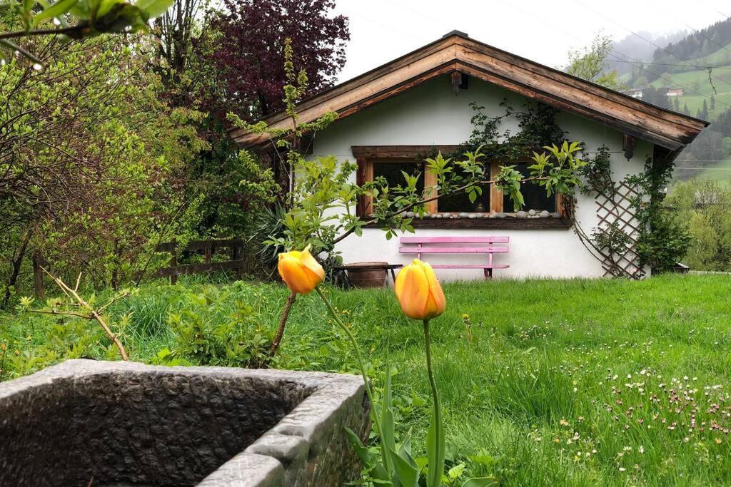 Zuhaus Schernfeichten Kitzbühel Esterno foto